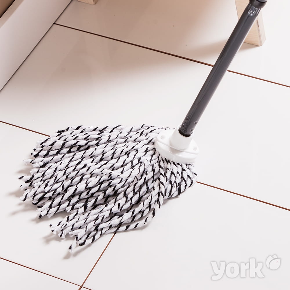 zebra3.jpg