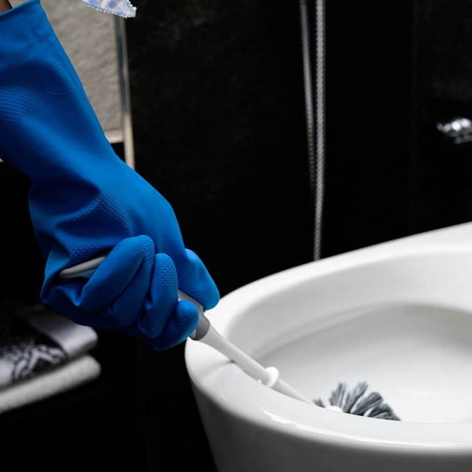 Zestaw WC LUX BACTERIA STOP