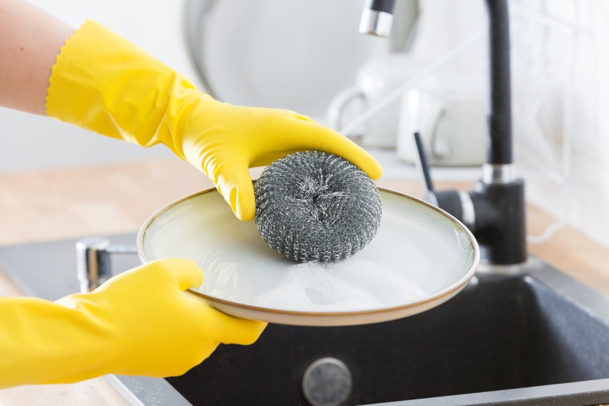 IMG_0516 (Large).jpg