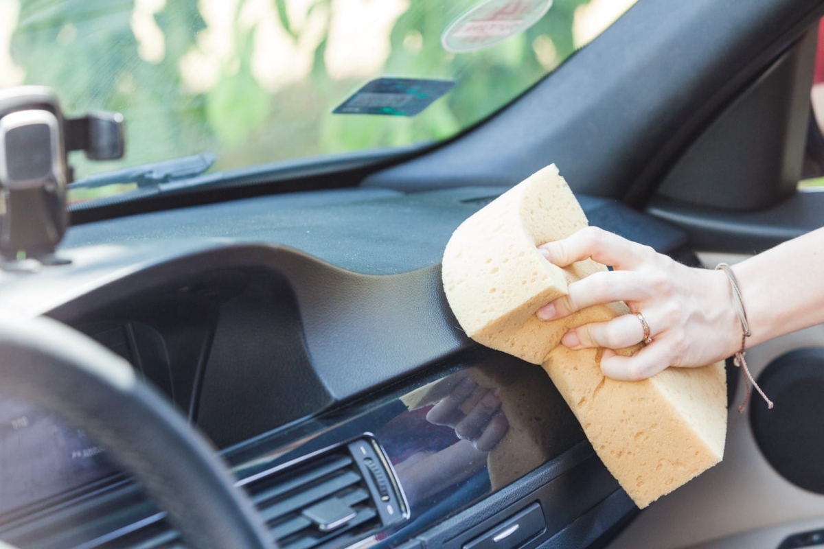 IMG_0070 (Large).jpg