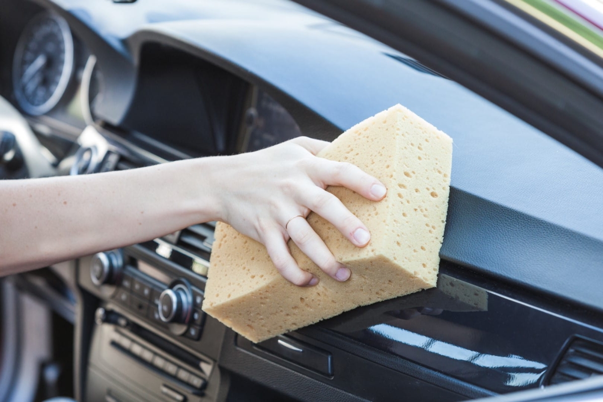 IMG_0072 (Large).jpg