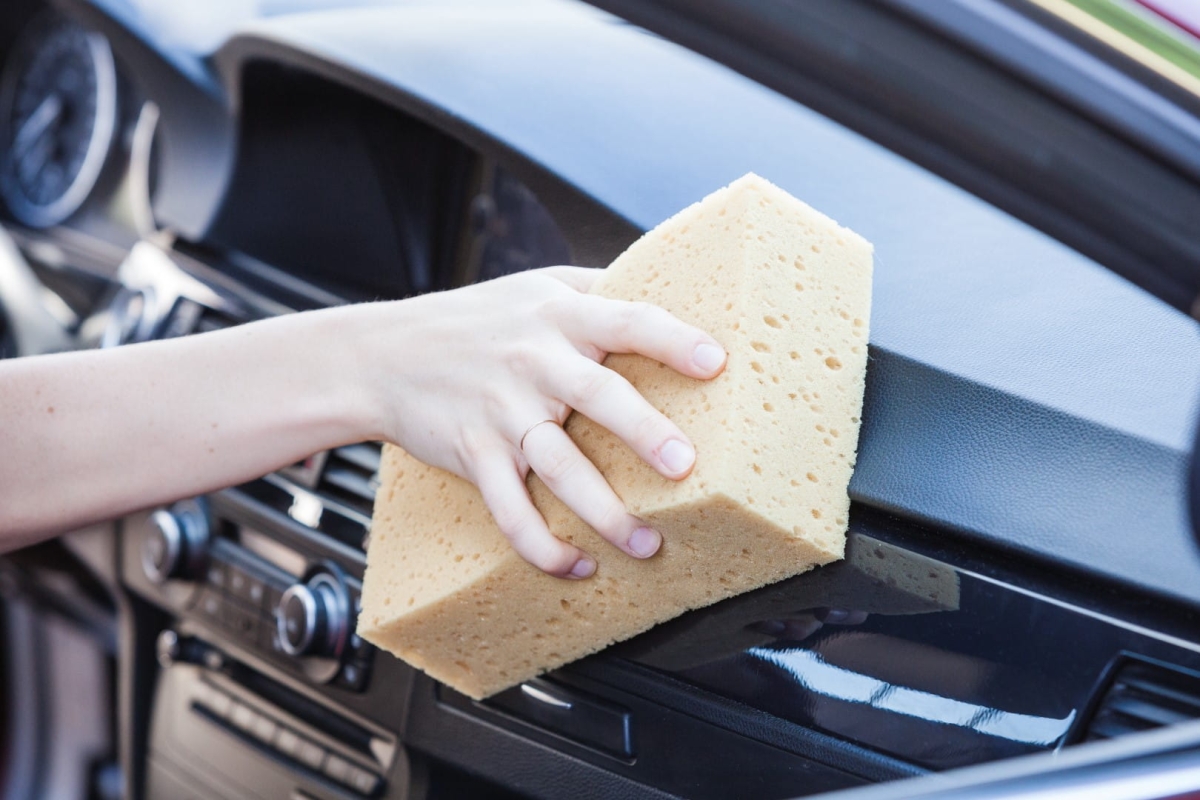 IMG_0073 (Large).jpg