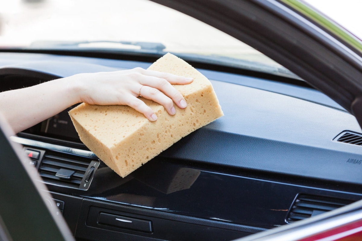 IMG_0075 (Large).jpg