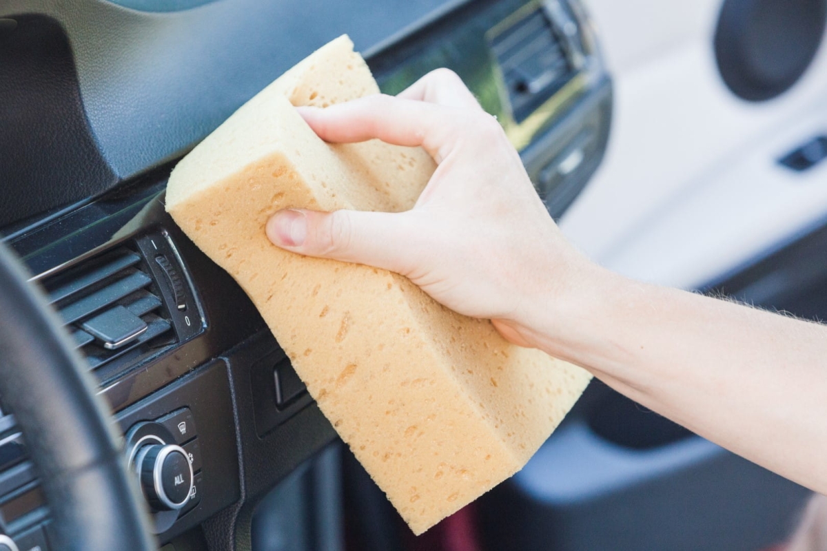 IMG_0078 (Large).jpg