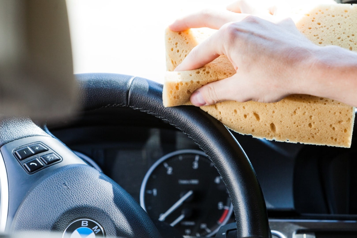 IMG_0082 (Large).jpg