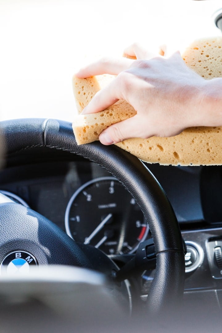 IMG_0084 (Large).jpg