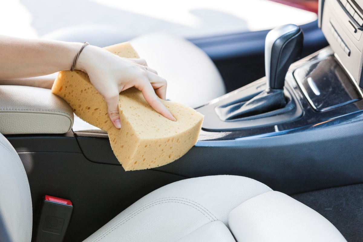 IMG_0097 (Large).jpg