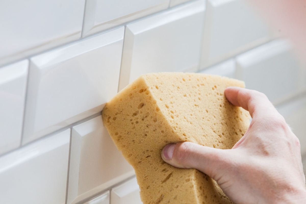 IMG_0726 (Large).jpg