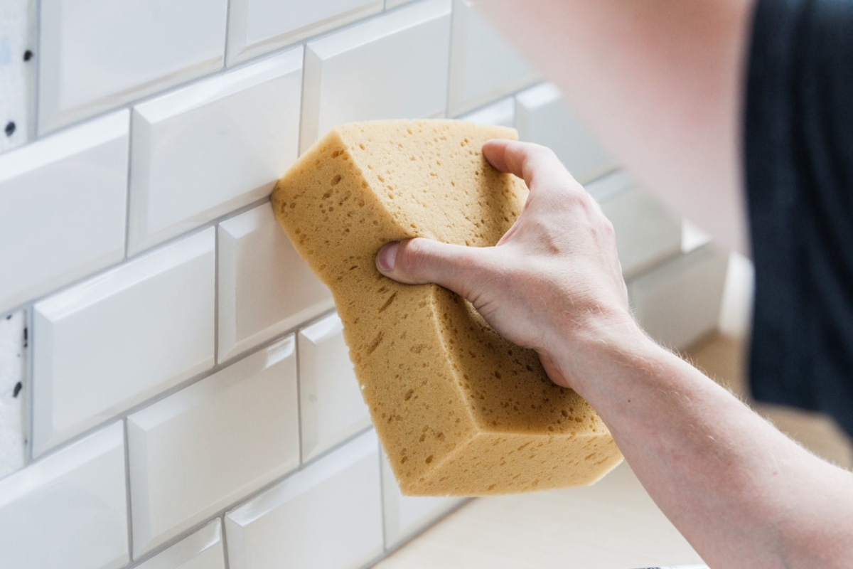 IMG_0727 (Large).jpg