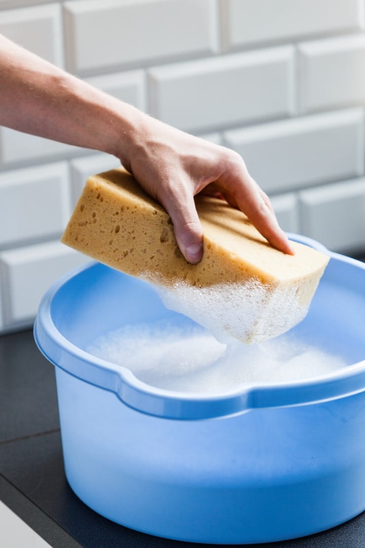 IMG_0740 (Large).jpg