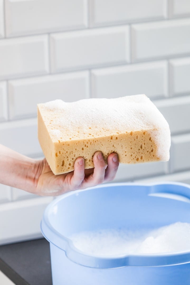 IMG_0749 (Large).jpg