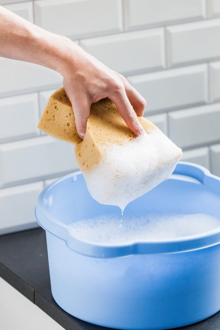 IMG_0752 (Large).jpg