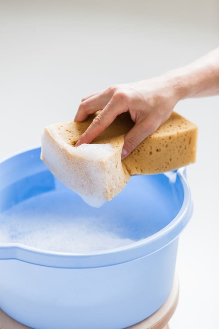 IMG_0768 (Large).jpg