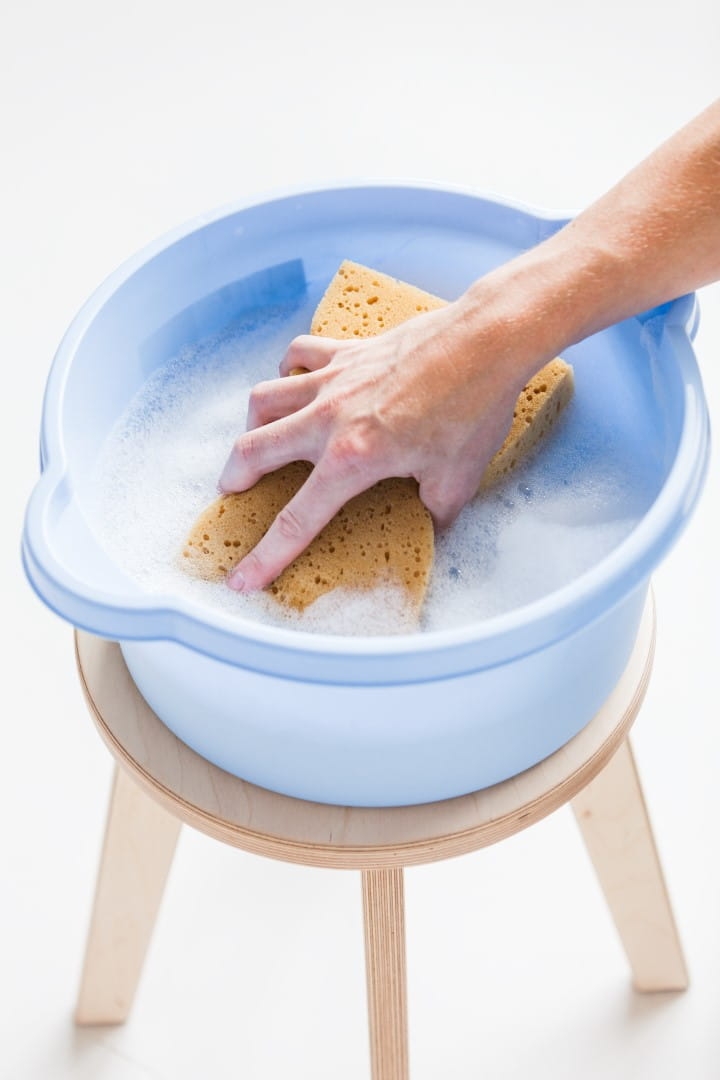 IMG_0769 (Large).jpg