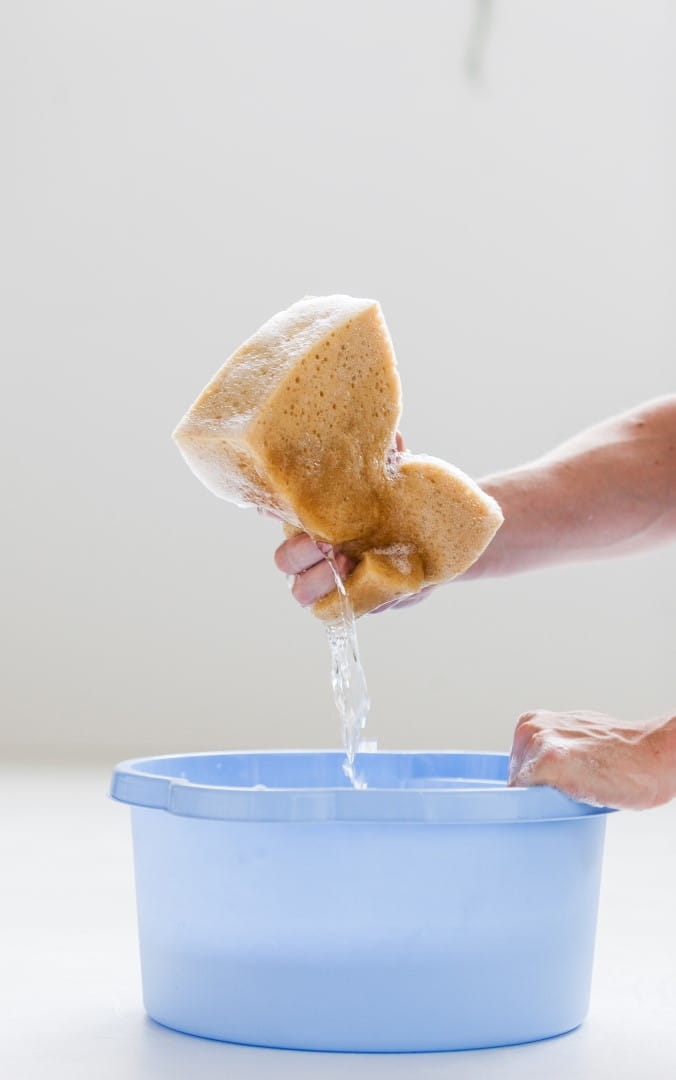 IMG_0773 (Large).jpg