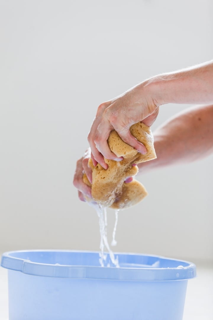 IMG_0776 (Large).jpg