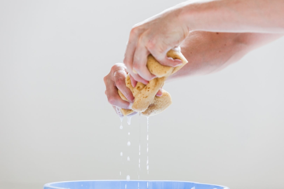 IMG_0778 (Large).jpg