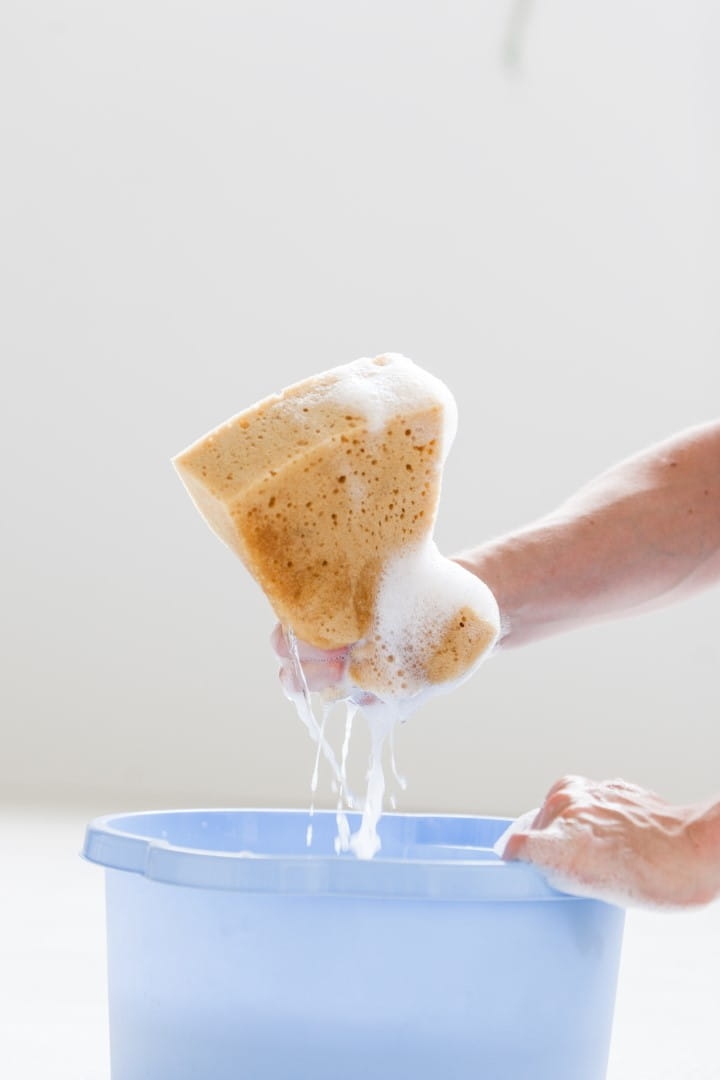 IMG_0787 (Large).jpg