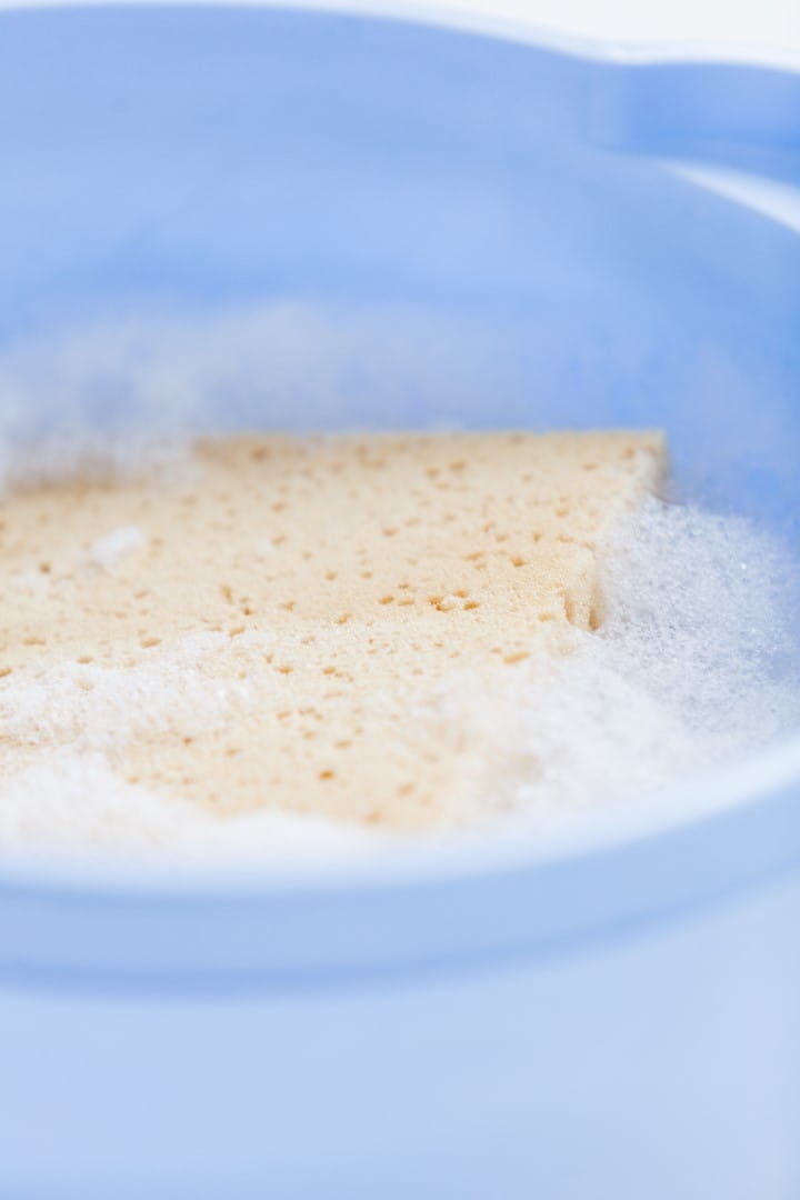 IMG_0790 (Large).jpg