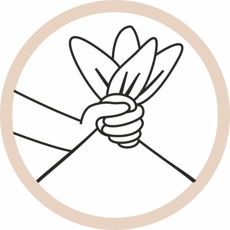 9005_9006.jpg