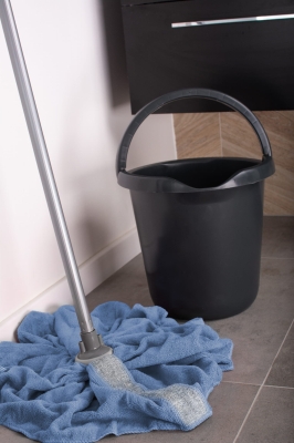 DSC_1249 rubi silver.jpg