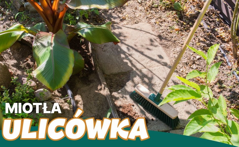 ulicowka_1.jpg